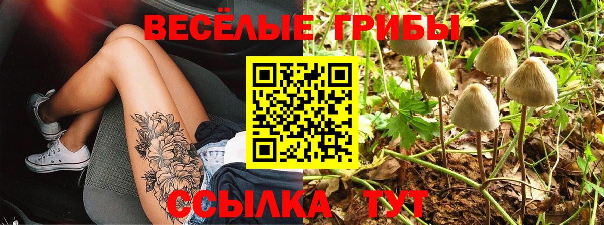 Псилоцибиновые грибы мицелий  Псилоцибиновые грибы Psilocybine cubensis  Миллерово  Вход с VPN 