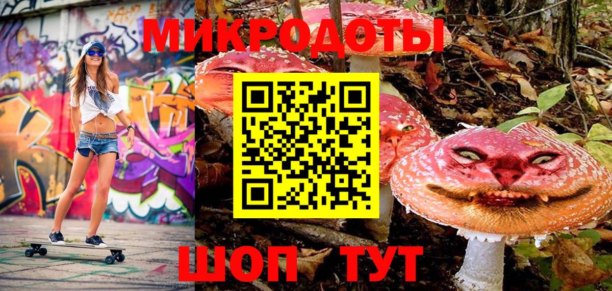Галлюциногенные грибы Psilocybine cubensis Миллерово