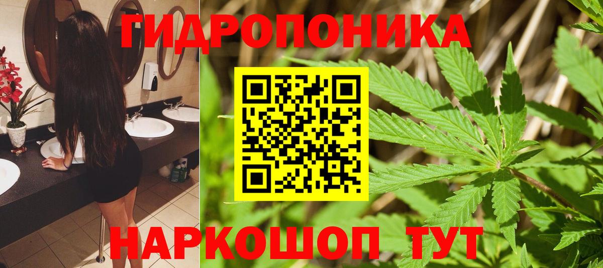 Шишки марихуана Amnesia  Марихуана Amnesia  Вход с VPN  Миллерово  Канабис тримм 